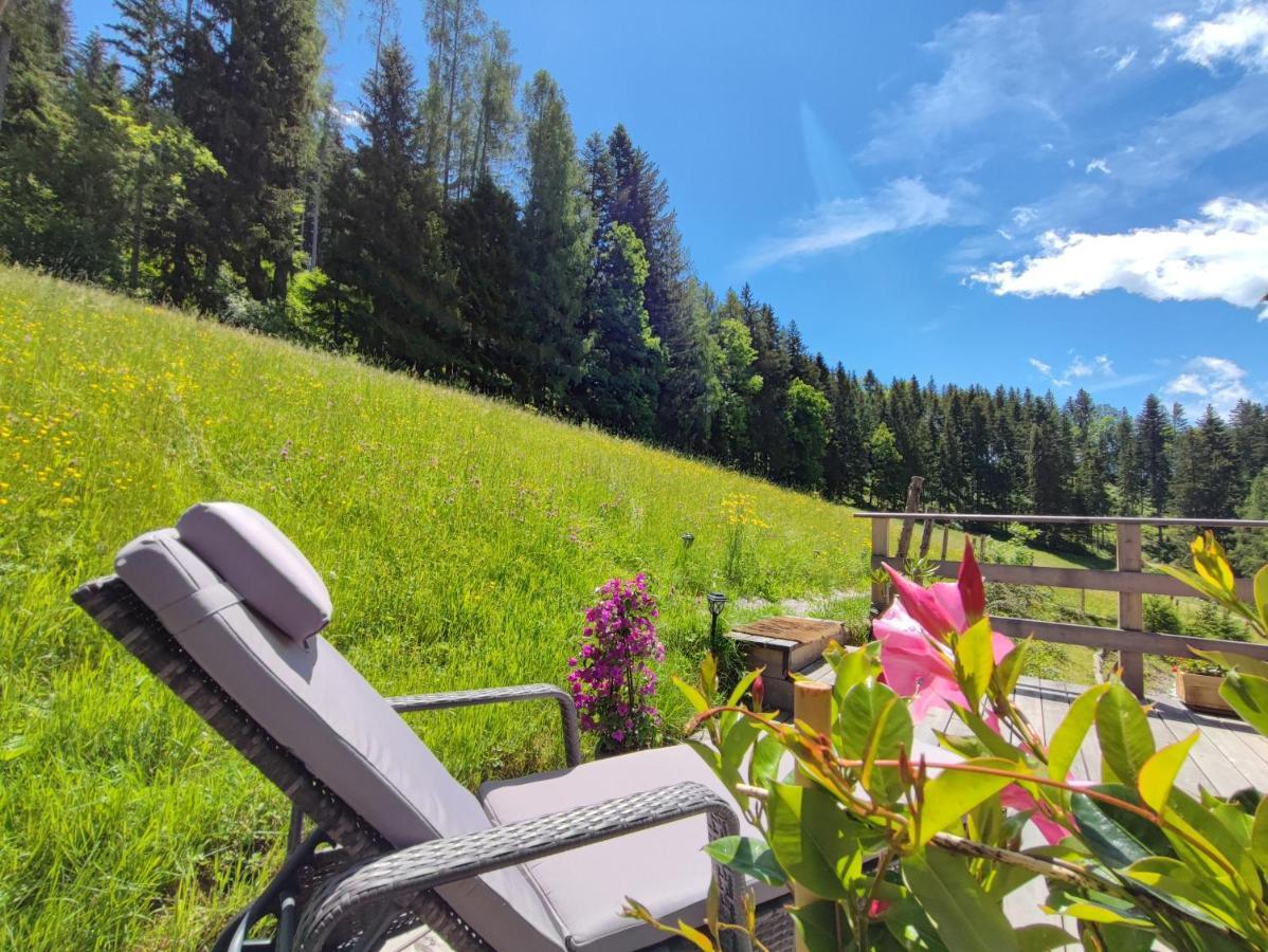 Villa Bischofsberg - Laerchen-Wellness Apartment Windischgarsten Kültér fotó